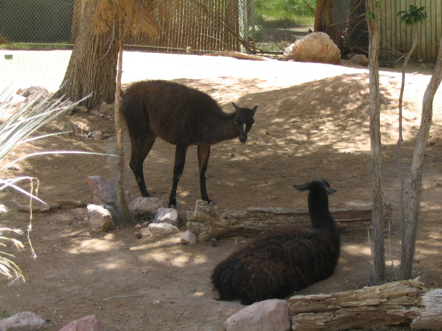 618x457 pixels (210K)